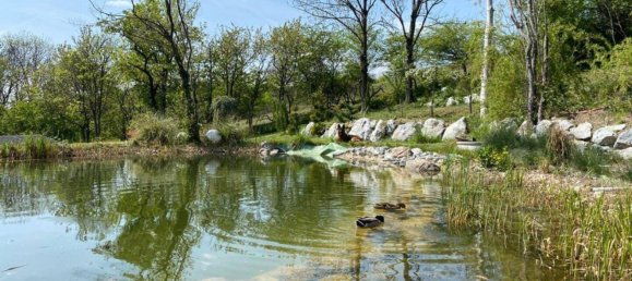 Terreno em Klosterneuburg, Austria N.º 20912 4