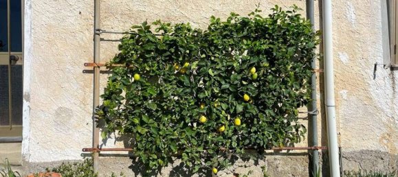 10غرفة منزل في Uzzano, Italy رقم 113399 6