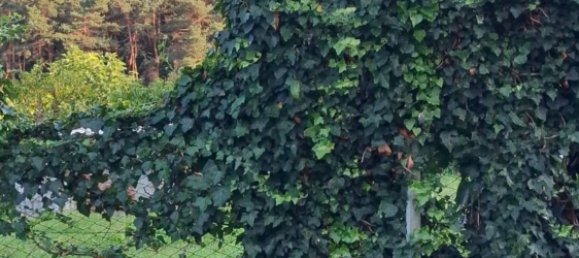 Casa de 2 divisões em Trescore Balneario, Italy N.º 277934 7