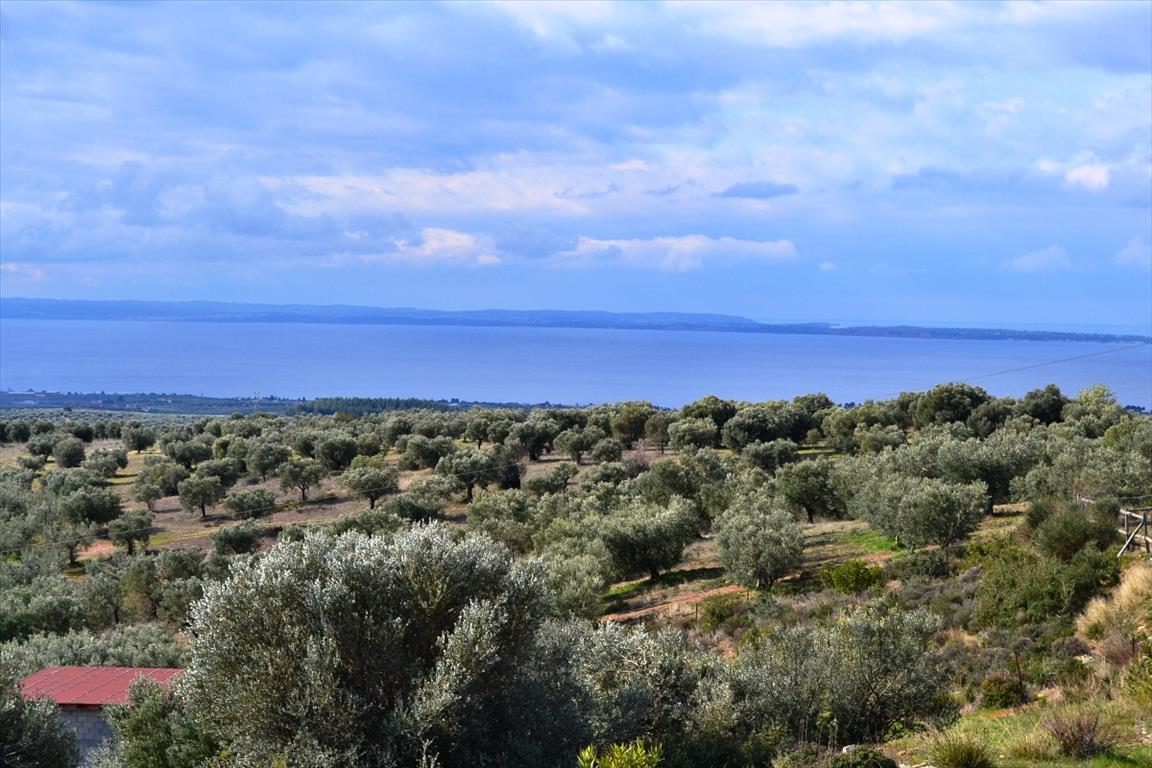 Недвижимость 200м² в Полийирос, Греция № 7304