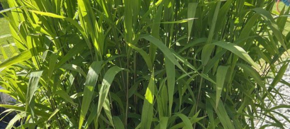 4 rooms House in Wesel, Germany No. 218540 10