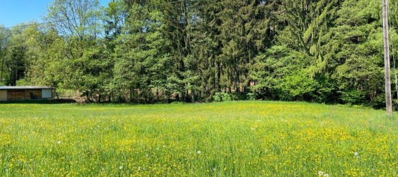 Terrain à Seeboden am Millstatter See, Austria No. 165121 4
