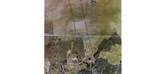 Grundstück in Monchique, Portugal 50947m², Nr. 68468 8