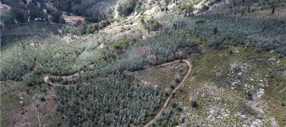 Grundstück in Monchique, Portugal 50947m², Nr. 68468 13