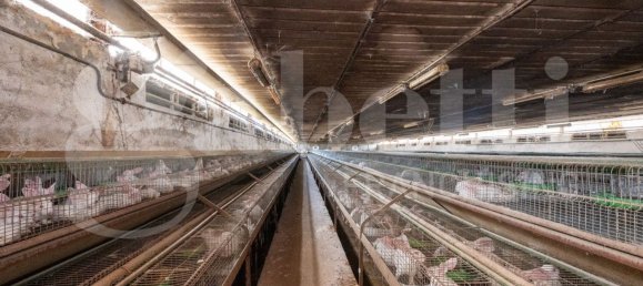 Almacén en Padua, Italy 1434 m² No. 280392 11