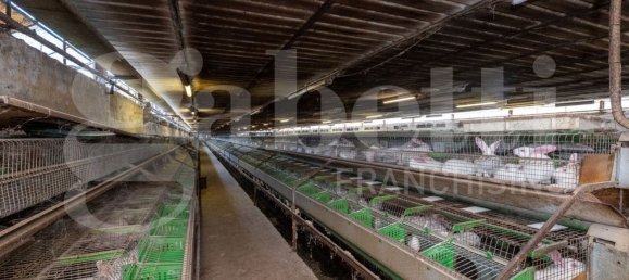 Almacén en Padua, Italy 1434 m² No. 280392 6