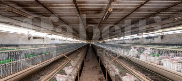 Almacén en Padua, Italy 1434 m² No. 280392 12