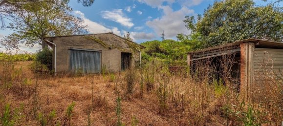 5 chambres Maison à Fauglia, Italy No. 296941 23