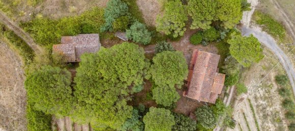 5 chambres Maison à Fauglia, Italy No. 296941 8