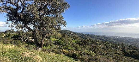  Land in Marbella, Spain No. 148004 14