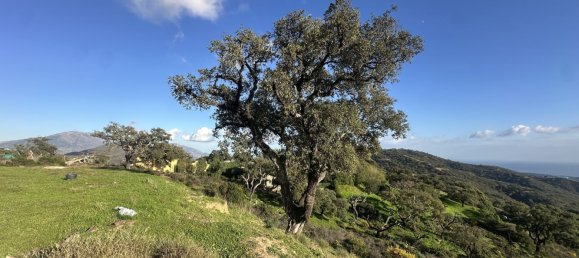  Land in Marbella, Spain No. 148004 15