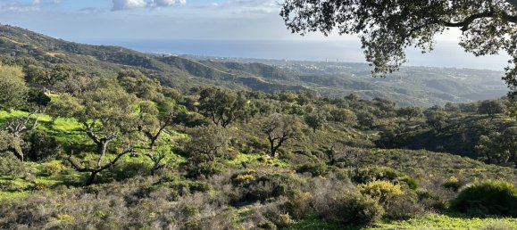  Land in Marbella, Spain No. 148004 34