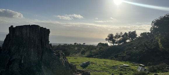  Land in Marbella, Spain No. 148004 26