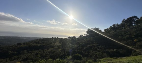  Land in Marbella, Spain No. 148004 5