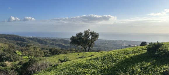  Land in Marbella, Spain No. 148004 31