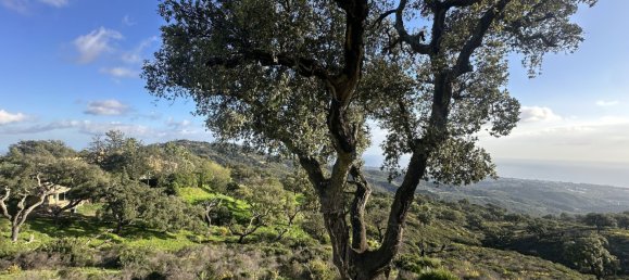  Land in Marbella, Spain No. 148004 21