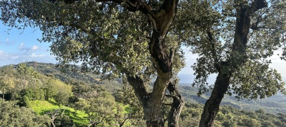  Land in Marbella, Spain No. 148004 22