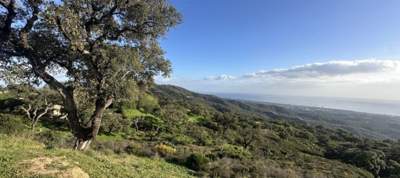  Land in Marbella, Spain No. 148004 16