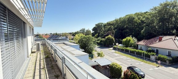 3-salle Appartement à Munchendorf, Austria No. 152814 3