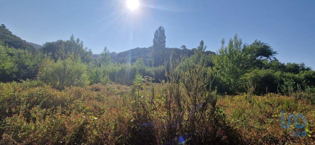 Grundstück in Mafra, Portugal 7500m², Nr. 250005