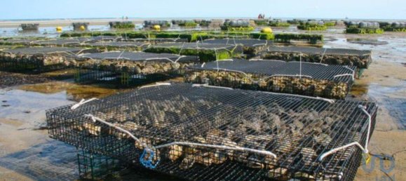 قطعة أرض في Setubal, Portugal 160000متر مربع رقم 119304 5