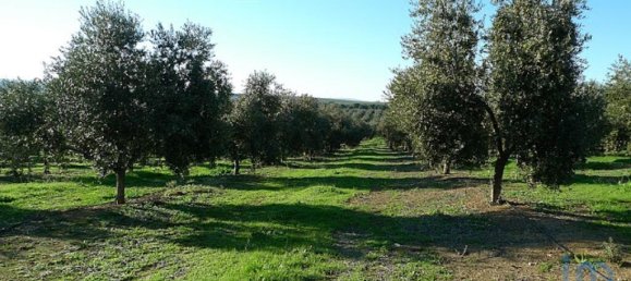 قطعة أرض في Setubal, Portugal 160000متر مربع رقم 119304 8