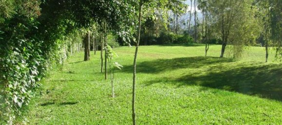 5 غرف نوم منزل في Paraiso, Costa Rica رقم 559 3