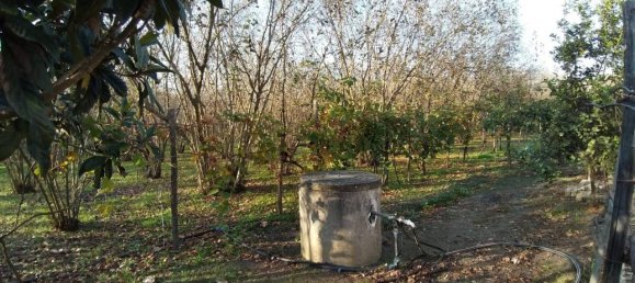 3 rooms House in Poggiomarino, Italy No. 19141 15