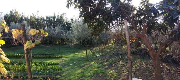 3 rooms House in Poggiomarino, Italy No. 19141 31