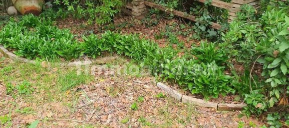 5غرفة بناية في Colle di Val d'Elsa, Italy رقم 269647 33