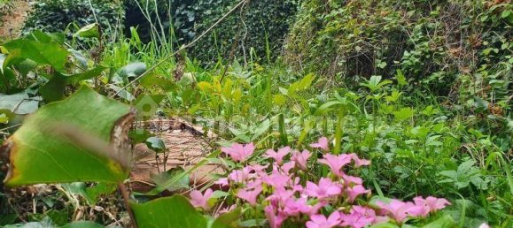 5غرفة بناية في Colle di Val d'Elsa, Italy رقم 269647 34