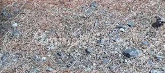 2 bedrooms Apartment in Rosignano Marittimo, Italy No. 262916 50