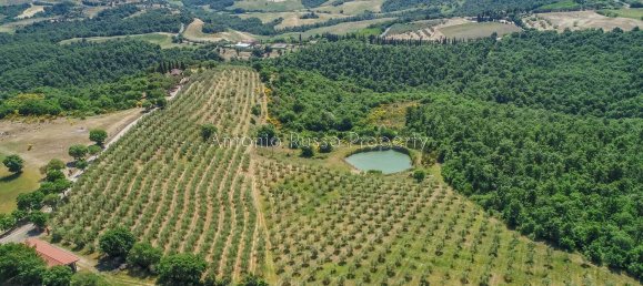 12 rooms House in Torrita di Siena, Italy No. 235069 18