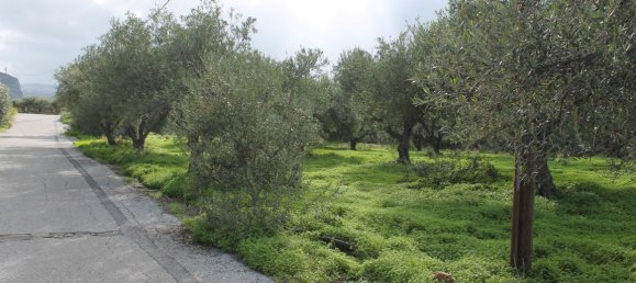 2456m² Hotel in Lasithi, Greece No. 5257 2