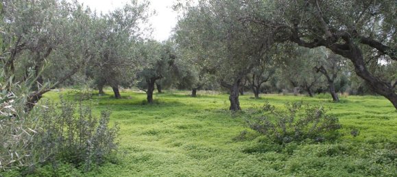 2456m² Hotel in Lasithi, Greece No. 5257 3