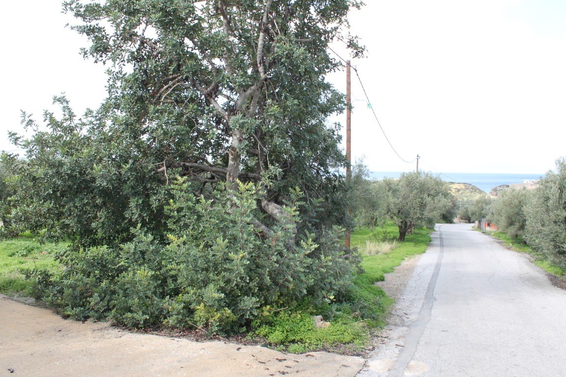 2456m² Hotel in Lasithi, Greece No. 5257