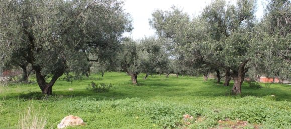 2456m² Hotel in Lasithi, Greece No. 5257 5