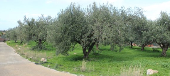 2456m² Hotel in Lasithi, Greece No. 5257 4