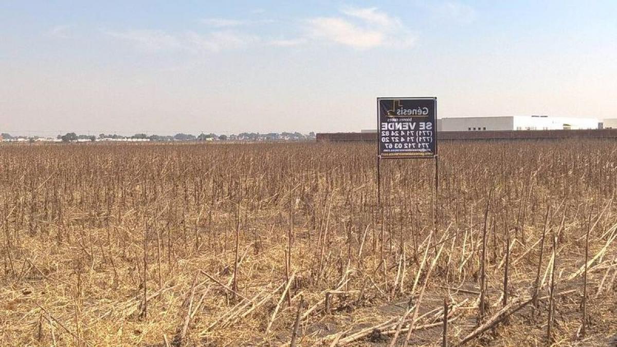  Land in Zumpango, Mexico No. 203270