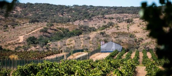 1 bedroom House in Cabecao, Portugal No. 69710 19