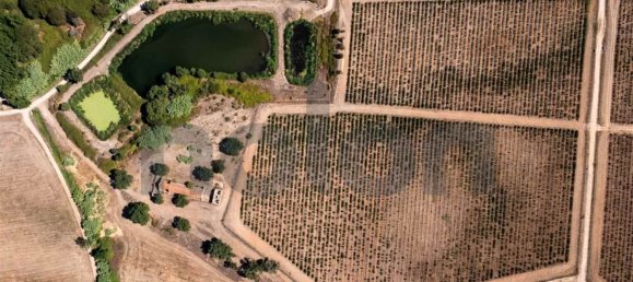 1 bedroom House in Cabecao, Portugal No. 69710 8