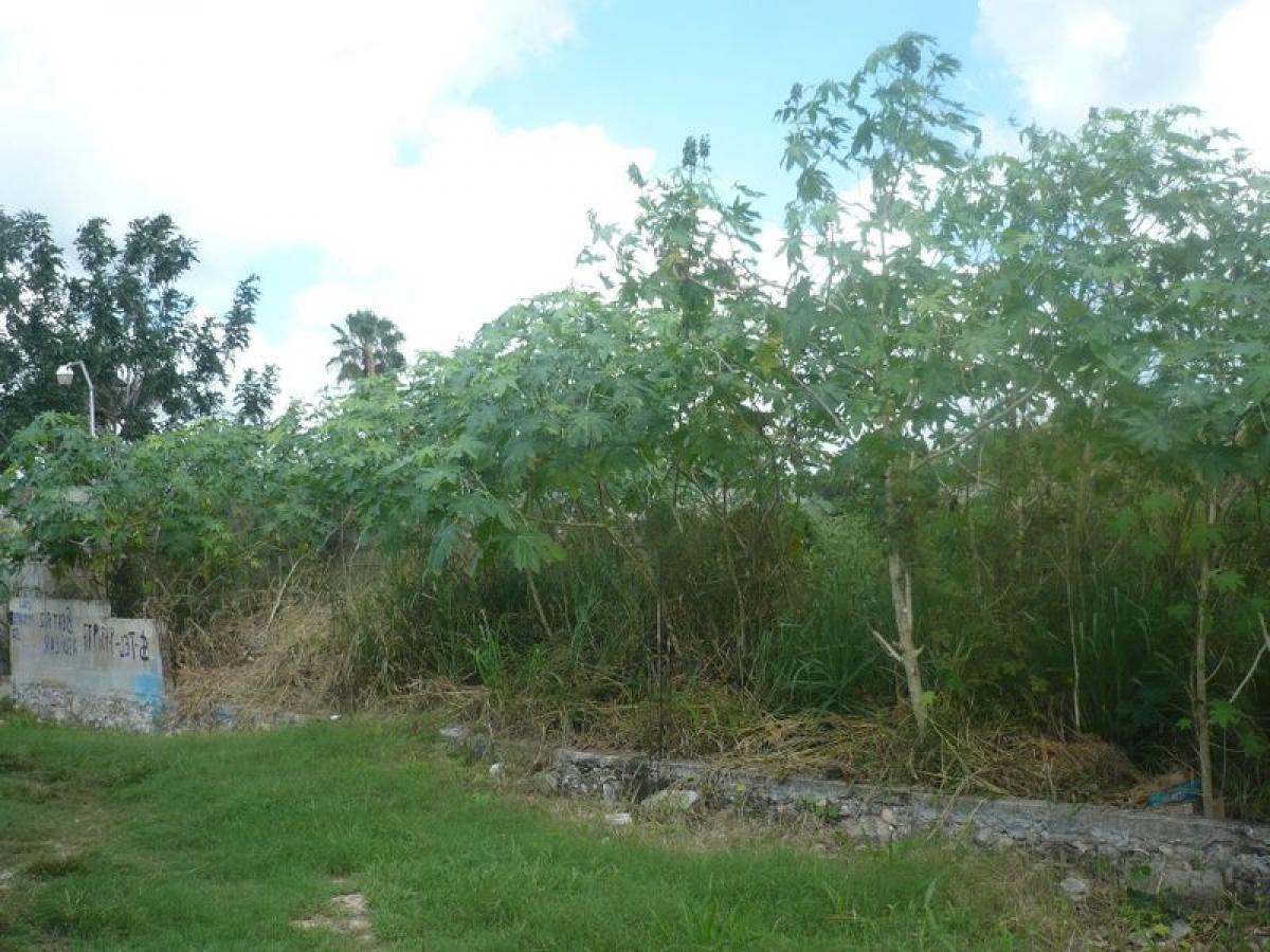 Terreno en Mérida, Mexico No. 108549