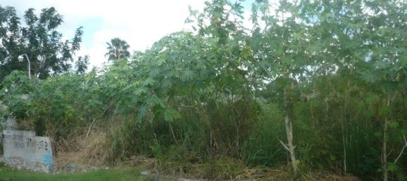 Terreno en Mérida, Mexico No. 108549 2