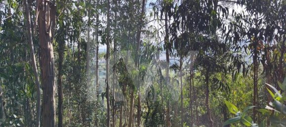 Terrain à Mafra, Portugal 3562m² No. 64250 2