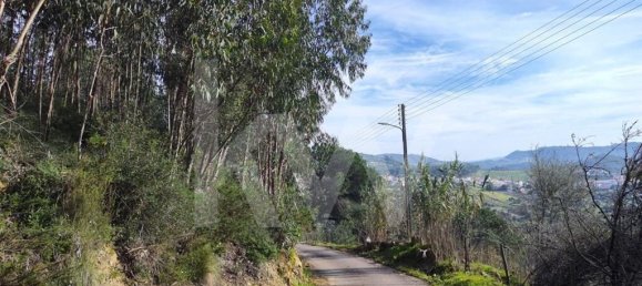 Terrain à Mafra, Portugal 3562m² No. 64250 8