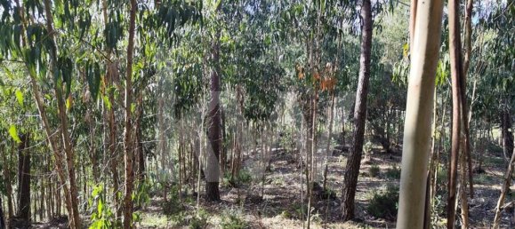 Terrain à Mafra, Portugal 3562m² No. 64250 13