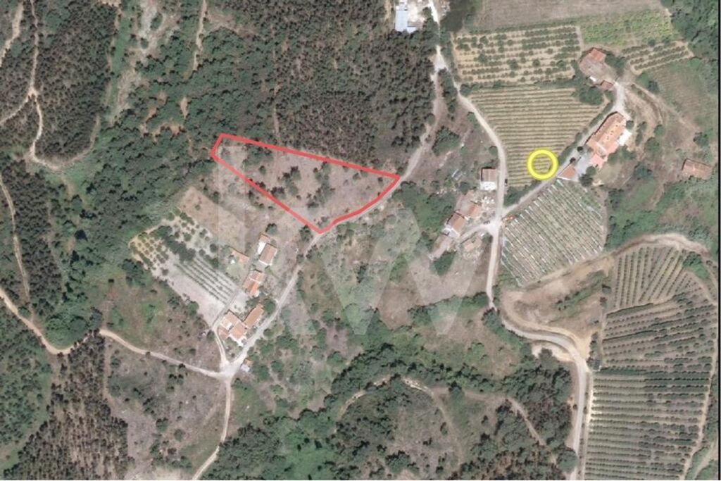 Terrain à Mafra, Portugal 3562m² No. 64250