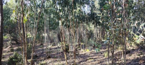 Terrain à Mafra, Portugal 3562m² No. 64250 14