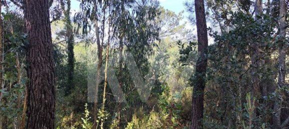 Terrain à Mafra, Portugal 3562m² No. 64250 18