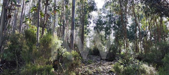 Terrain à Mafra, Portugal 3562m² No. 64250 17